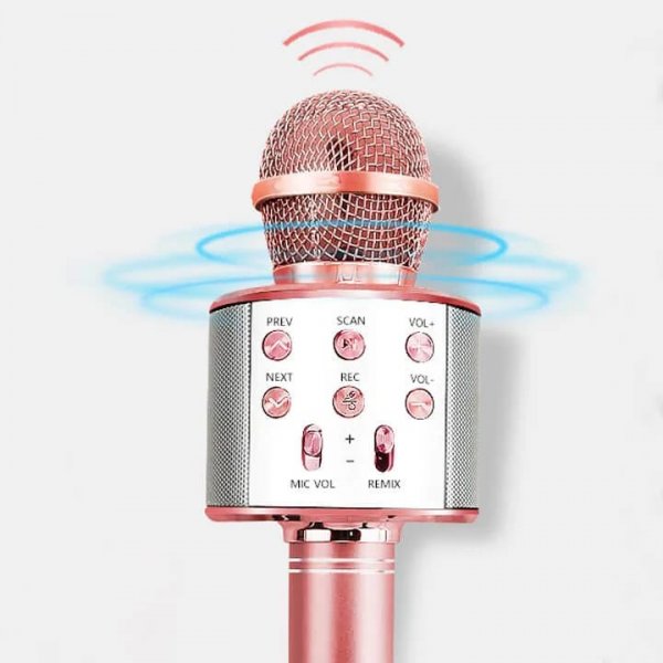 microfon karaoke wireless 5